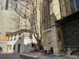 Die Linde bei St. Stephan